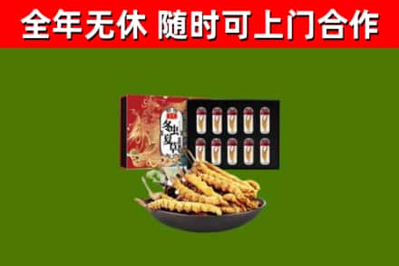 五华烟酒回收冬虫夏草礼盒.jpg